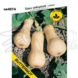 Tykev muškátová BUTTERNUT